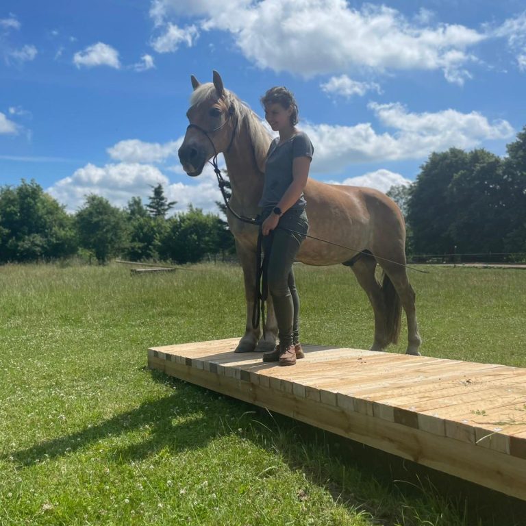 SophieRödiger_Pony Sophie Rödiger steht neben einem Haflinger auf einer Pferdewippe